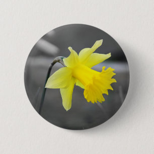 Daffodil 6 Cm Round Badge