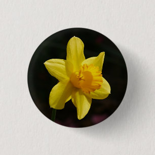 Daffodil Badge 