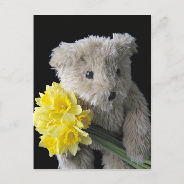 daffodil bear postcard (Front)
