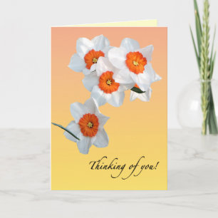 Daffodil Birthday Card