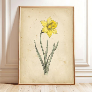 Daffodil Botanical Antique Wall Art