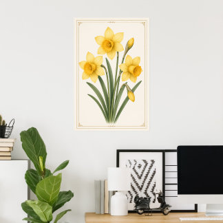 Daffodil Botanical, March Birth Flower Poster