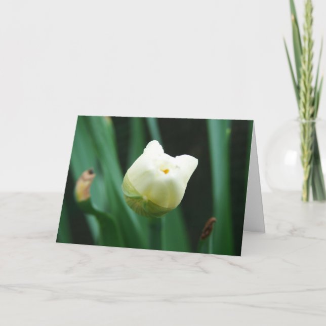 Daffodil Card (Front)