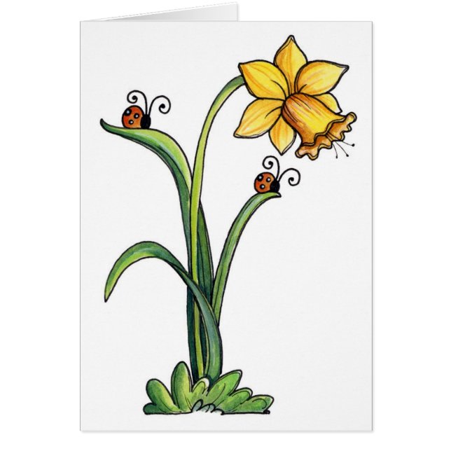 Daffodil - Card (Front)
