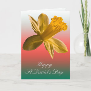 Daffodil Card
