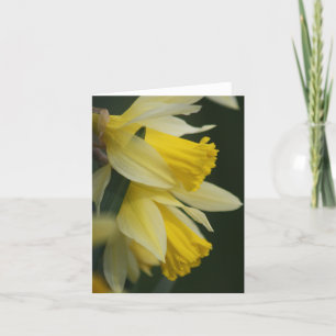 Daffodil Card