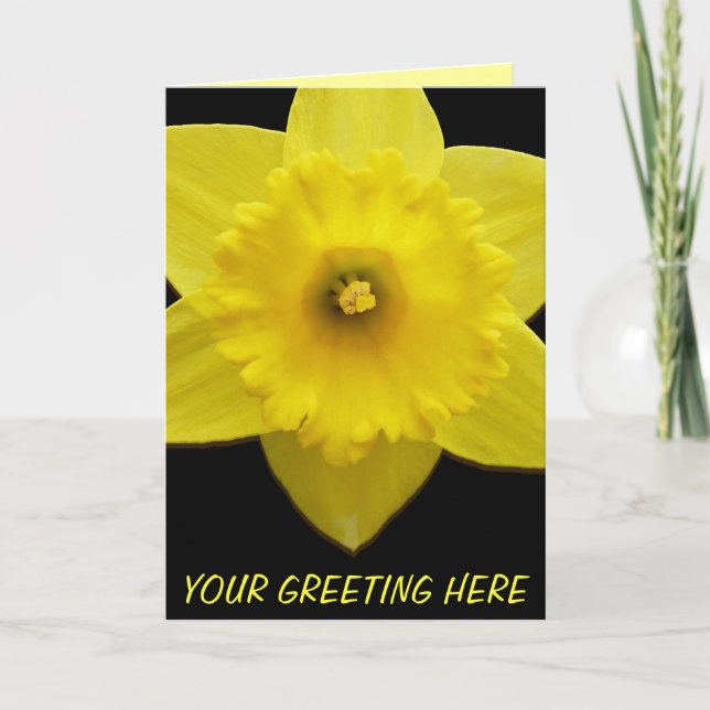 Daffodil Cards Personalised Daffodil Flower Cards (Front)
