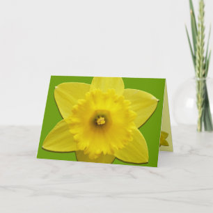 Daffodil Cards Personalised Daffodil Flower Cards