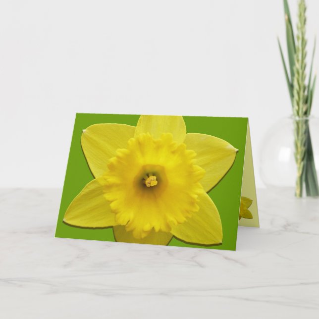 Daffodil Cards Personalised Daffodil Flower Cards (Front)