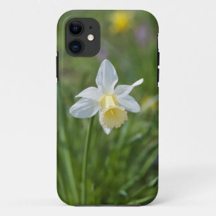 Daffodil iPhone 11 Case