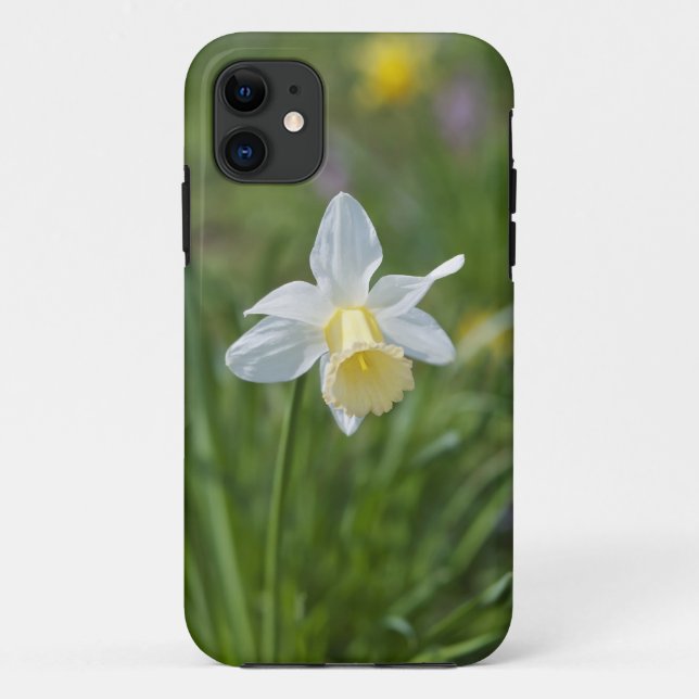 Daffodil Case-Mate iPhone Case (Back)