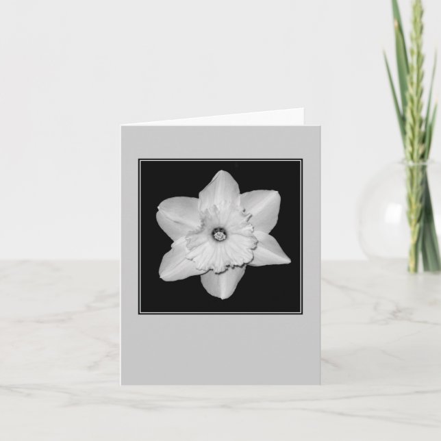Daffodil Close-up (B&W) Blank Note Card (Front)