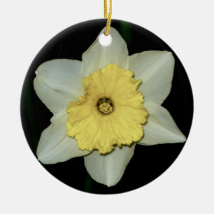 Daffodil Close-up Round Ornament