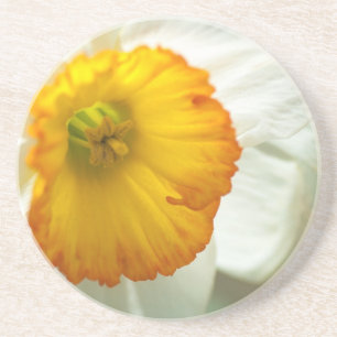 Daffodil Coaster