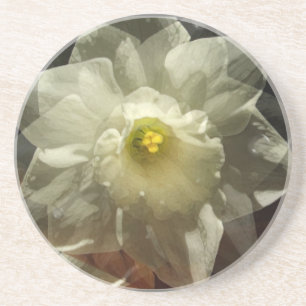 Daffodil Dreams Coaster