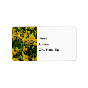 Daffodil Family Address Labels