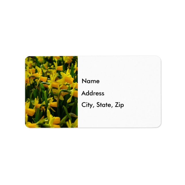 Daffodil Family Address Labels (Front)