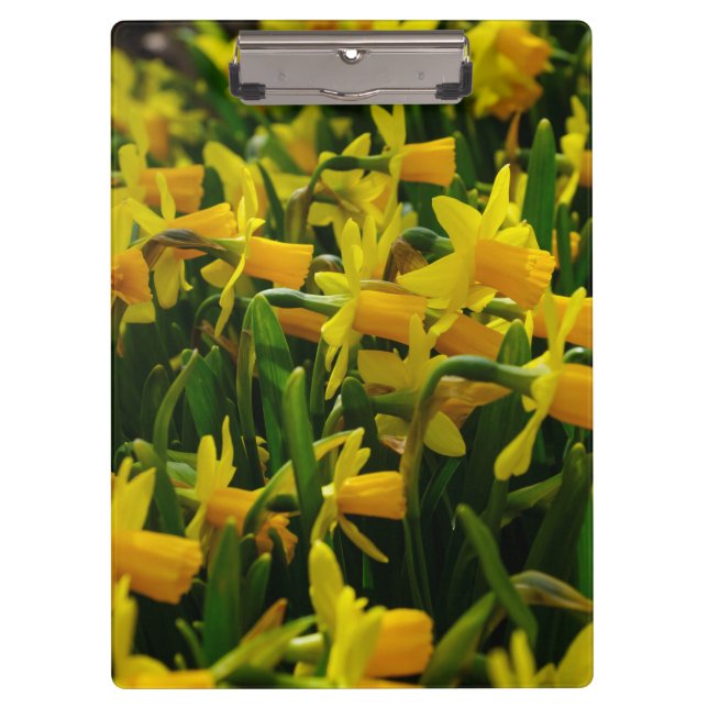 Daffodil Family Clipboard (Front)