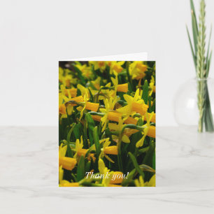Daffodil Family Thank You Card