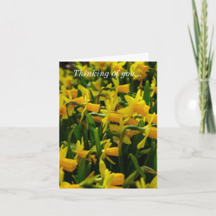 Daffodil Family Thinking Of You Card