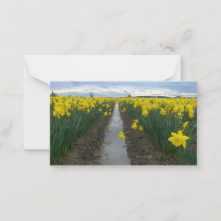 Daffodil Field Card