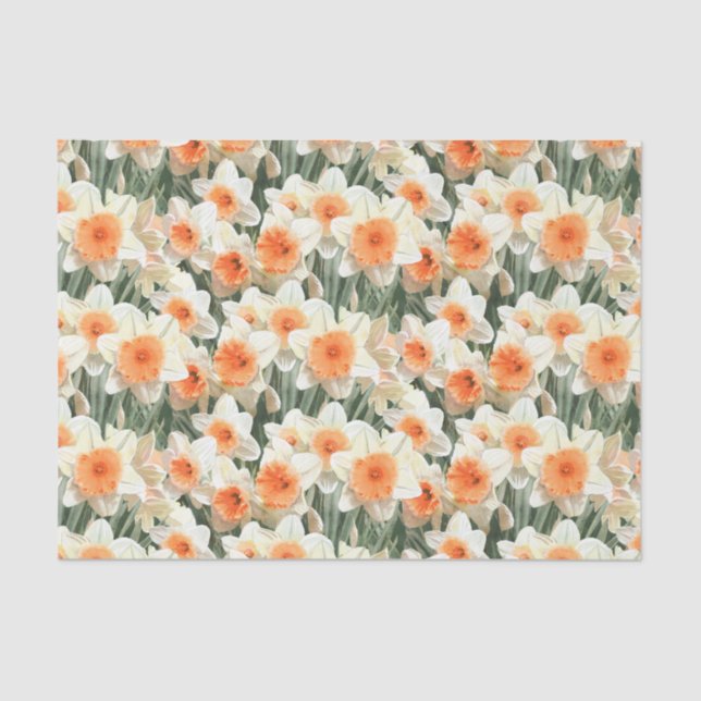 Daffodil Floral White Peach Pattern Tissue Paper (Front)