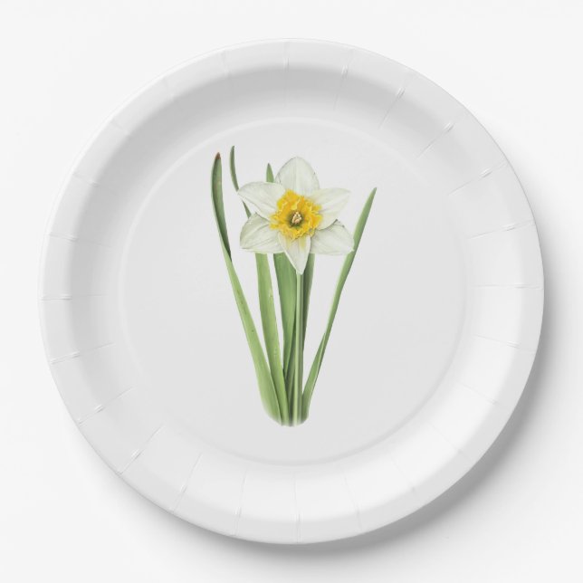 Daffodil Flower Botanical Art Paper Plate (Front)
