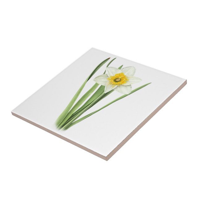 Daffodil Flower Ceramic Tile (Side)