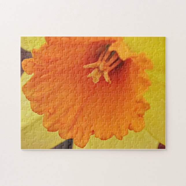 Daffodil Flower Close Up Puzzle (Horizontal)