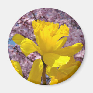 Daffodil Flower Magnet gifts Pink Tree Blossoms