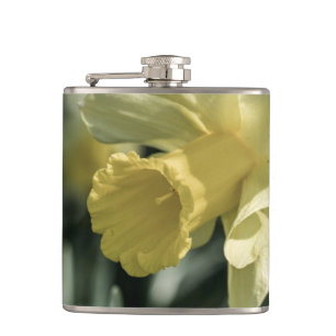 Daffodil Flower Photography Hip Flask