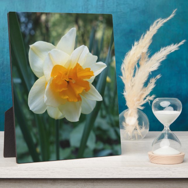 Daffodil Flower Plaque (Side)