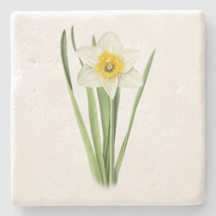 Daffodil Flower Stone Coaster