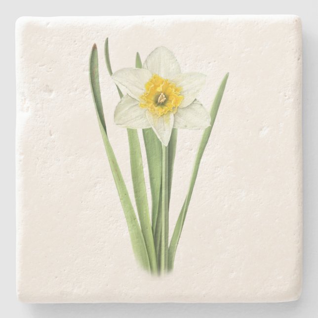 Daffodil Flower Stone Coaster (Front)