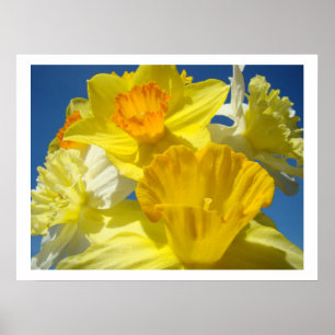 Daffodil Flowers Bouquet for Grandma art prints