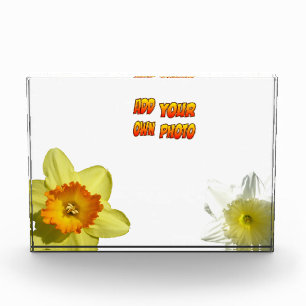 Daffodil Flowers Cust. Photo Block