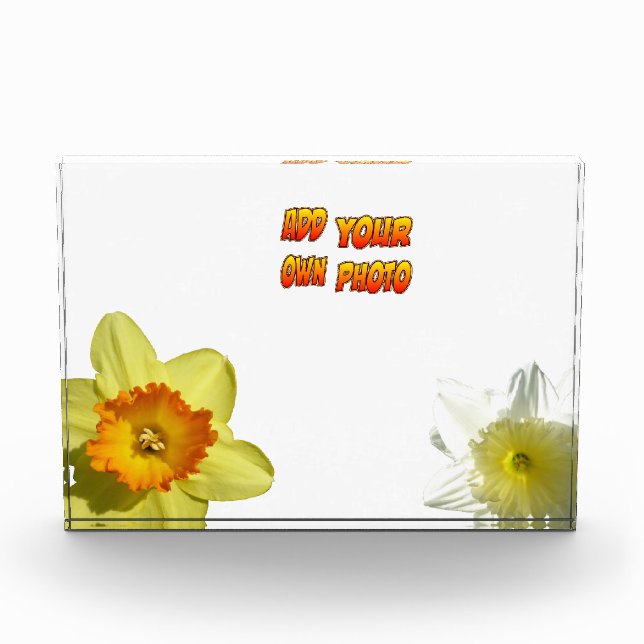 Daffodil Flowers Cust. Photo Block (Front)