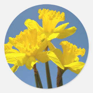 Daffodil Flowers stickers Yellow Floral Blue Sky