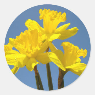 Daffodil Flowers stickers Yellow Spring Daffodil