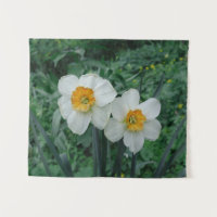 Daffodil Flowers