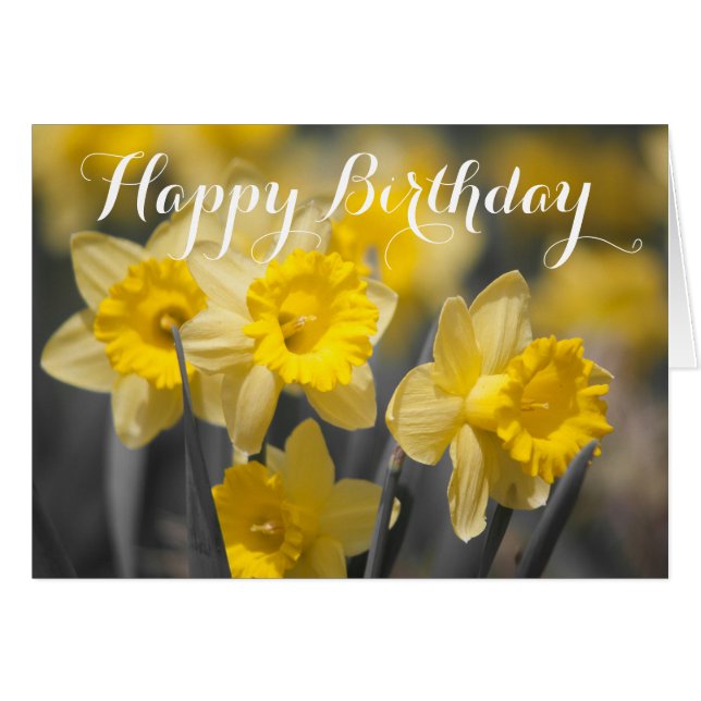 Daffodil Greeting Card (Front Horizontal)