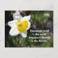 Daffodil Happiness Photography & Quote