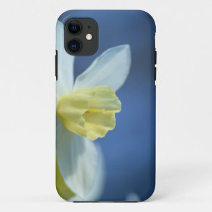 Daffodil in Spring iPhone 11 Case