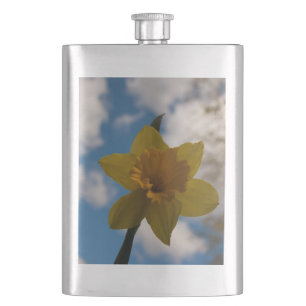 Daffodil in spring hip flask