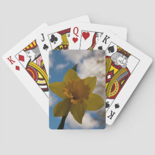 Daffodil in spring playing cards