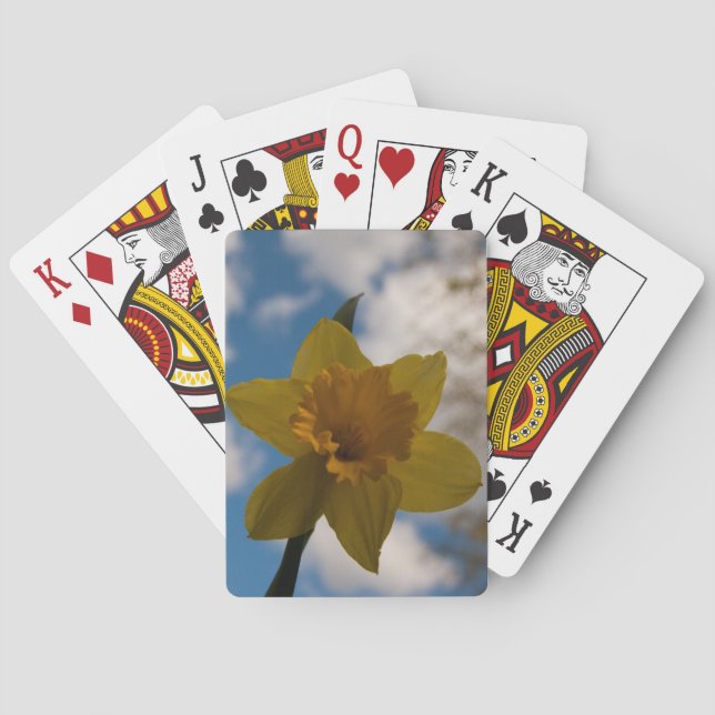 Daffodil in spring playing cards (Back)