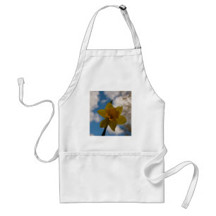Daffodil in spring standard apron