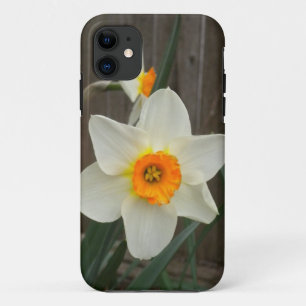 Daffodil iPhone 5 Case