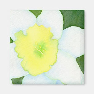 Daffodil Magnet
