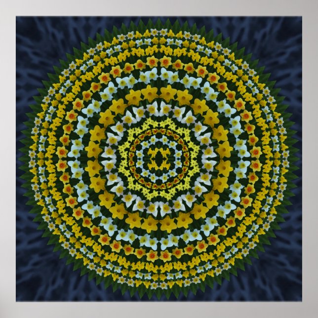 Daffodil Mandala Poster (Front)